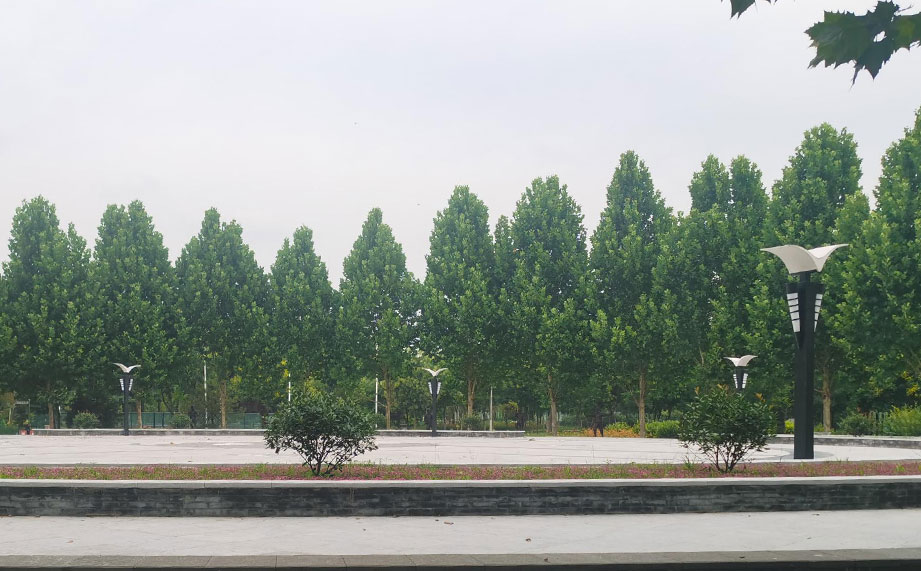 景觀燈，公園景觀燈.jpg